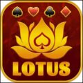 Lotus Teen Patti