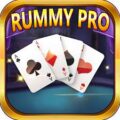 Rummy Pro