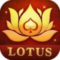 Teen Patti Lotus Pro