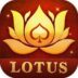 Teen Patti Lotus Pro